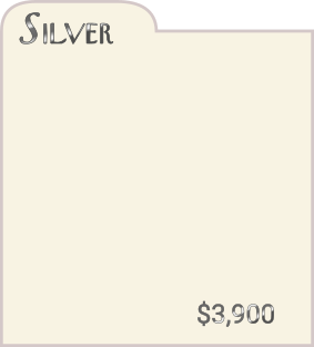 Silver Price